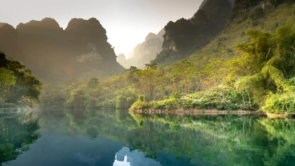 绿色智慧先进